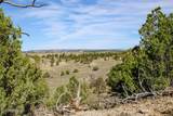 000 Skull Creek Rd - Photo 45