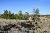000 Skull Creek Rd - Photo 46