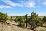 000 Skull Creek Rd - Photo 47