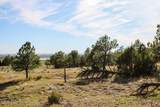 000 Skull Creek Rd - Photo 48