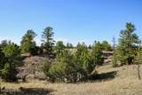 000 Skull Creek Rd - Photo 49