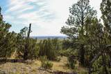 000 Skull Creek Rd - Photo 50
