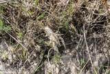 000 Skull Creek Rd - Photo 54