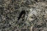 000 Skull Creek Rd - Photo 55