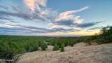 307 Roberts Ct - Photo 63