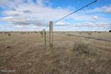 000 Broken Trail Dr - Photo 15