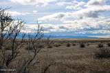 000 Broken Trail Dr - Photo 22