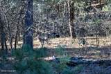 000 Bear Lodge Rd - Photo 17