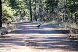 000 Bear Lodge Rd - Photo 20
