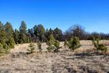 000 Bear Lodge Rd - Photo 27