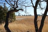 000 Bear Lodge Rd - Photo 28