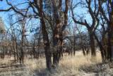 000 Bear Lodge Rd - Photo 29