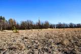 000 Bear Lodge Rd - Photo 32
