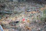 000 Bear Lodge Rd - Photo 40