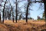 000 Bear Lodge Rd - Photo 42