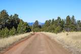 000 Bear Lodge Rd - Photo 44