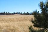 000 Bear Lodge Rd - Photo 45