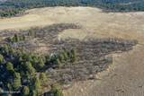 000 Bear Lodge Rd - Photo 8