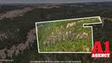 142 Bridle Bit Road - Photo 31
