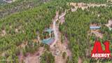 142 Bridle Bit Road - Photo 32