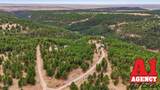 142 Bridle Bit Road - Photo 34