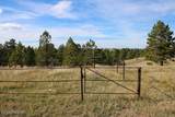 Tract B-1 Broad Axe Rd - Photo 17