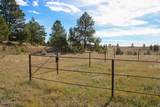 Tract B-1 Broad Axe Rd - Photo 18