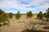 Tract C-1 Broad Axe Rd - Photo 12