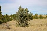 Tract C-1 Broad Axe Rd - Photo 13