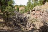 Tract C-1 Broad Axe Rd - Photo 14