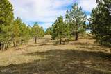 Tract C-1 Broad Axe Rd - Photo 15