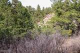Tract C-1 Broad Axe Rd - Photo 16