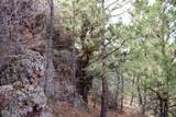 Tract C-1 Broad Axe Rd - Photo 17