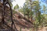 Tract C-1 Broad Axe Rd - Photo 18