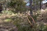 Tract C-2 Broad Axe Rd - Photo 2