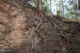 Tract C-2 Broad Axe Rd - Photo 22