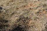 Tract C-3 Broad Axe Rd - Photo 13
