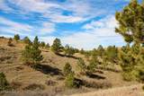 Tract C-3 Broad Axe Rd - Photo 4