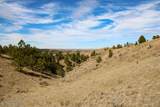 Tract C-3 Broad Axe Rd - Photo 8