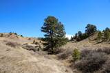 Tract C-4 Broad Axe Rd - Photo 11