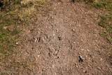 Tract C-4 Broad Axe Rd - Photo 16