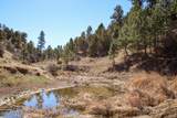 Tract C-4 Broad Axe Rd - Photo 17