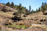 Tract C-4 Broad Axe Rd - Photo 20
