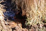 Tract C-4 Broad Axe Rd - Photo 21