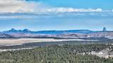 21 Conifer - Photo 10