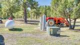 21 Conifer - Photo 102