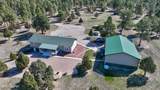 21 Conifer - Photo 104