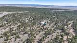 21 Conifer - Photo 108