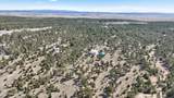 21 Conifer - Photo 109