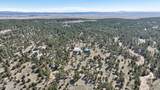 21 Conifer - Photo 110